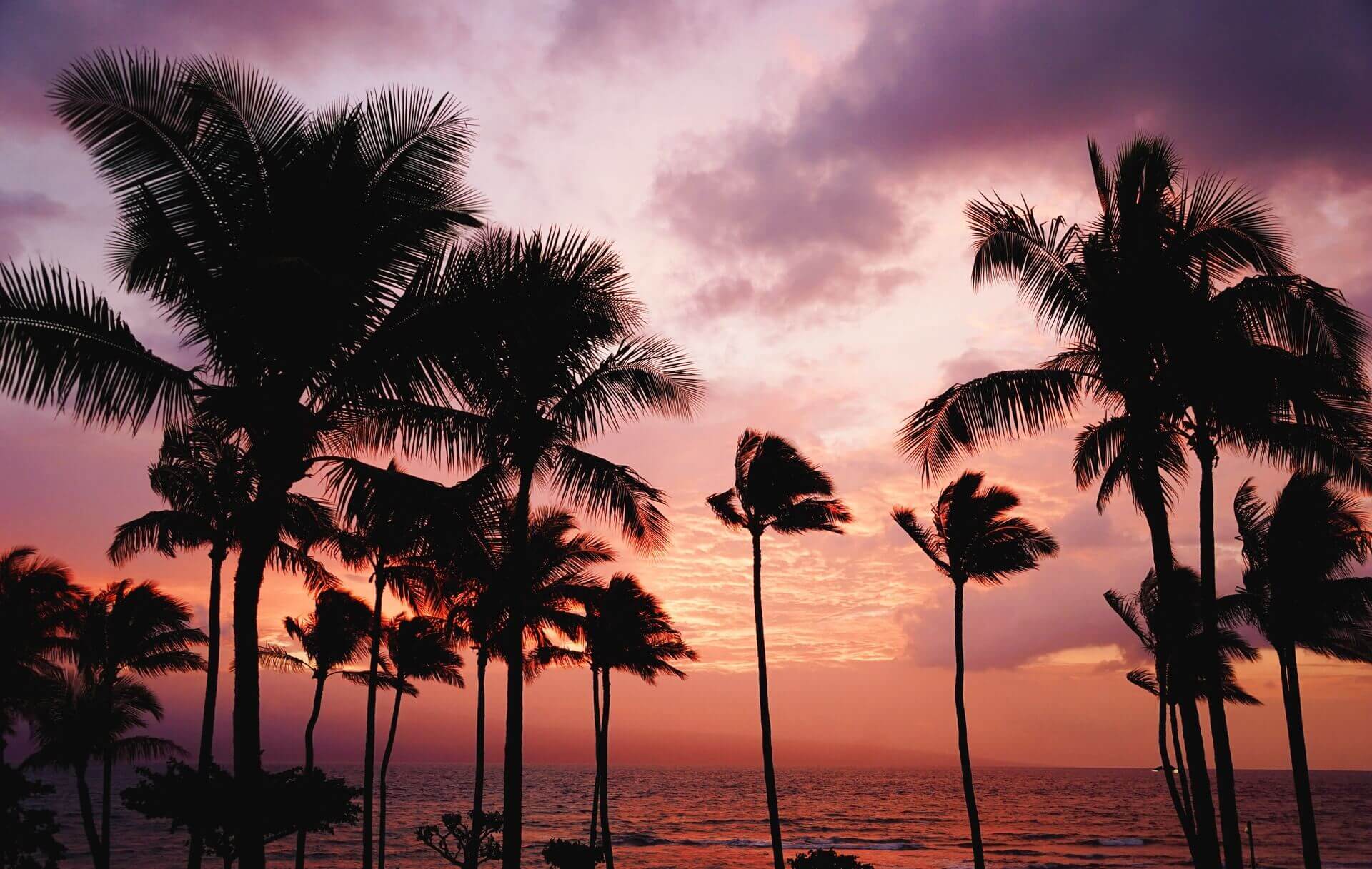 hawaii holiday destination