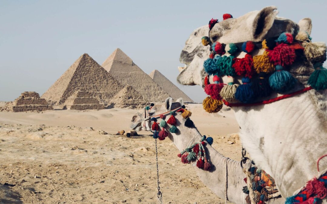 5 City Sites & 2 Day Trips You Can’t Miss in Cairo